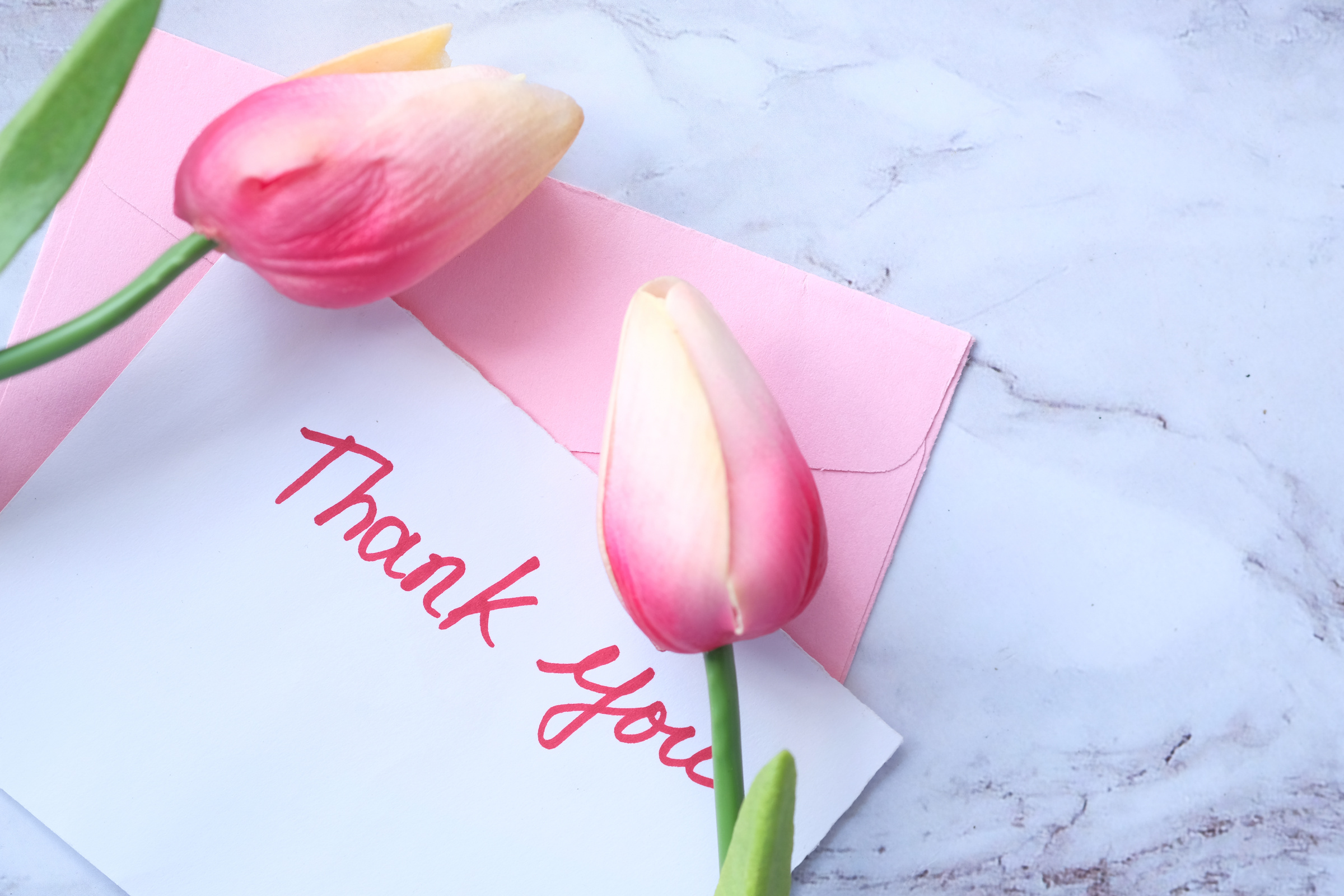 Thank You Message on Sticky Note with Tulip Flower on Tiles Background